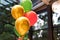 colorful party balloons Festive party and decoration, happy birthday, Christmas, New Year, 2024