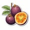 Colorful Passion Fruit Sticker: Detailed Scientific Illustration With Dark Red And Violet Tones