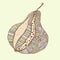 Colorful pastel hand style drawing design pear