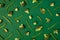 Colorful pattern of Broccoli and green beans on a green background
