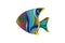 Colorful patterned decorative fish