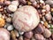 Colorful patterned stones at the beach