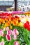 Colorful pavillion with multicolored tulip flowerbed