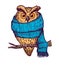 Colorful peach owl in blue scarf.