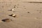 Colorful pebbles on sand. Round stones on the beach. Peaceful concept. Nature details.
