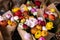 Colorful persian buttercup flowers or Ranunculus asiaticus bouquets in a greek flower shop