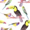 Colorful pet birds perched on a branch- watercolor seamless background