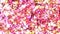 Colorful petals are falling. Spring flower background. Loop animation. Pretty shiny petals of blossoms.