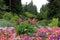 Colorful petunias surrounded by trees and flowers in the Butchart Garden