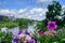 Colorful petunias and surrounding landscape at the 2019 Federal Garden Show BUGA, Heilbronn, Germany