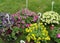 Colorful petunias and yellow pansy flowers in hanging flower pots on the grass