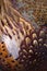 Colorful pheasant feathers background. abstract Vertical texture.