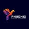 Colorful Phoenix logo design vector template