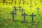 Colorful photo of old graves and crosses in a cemetery on a sunny summer day. Halloween, all saints concept