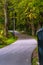 Colorful Photo of the Road in a Park, Between Woods - Closeup view of the Chain Fence with Blurred Background with Space for Text