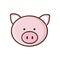 colorful picture face cute pig animal