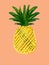 Colorful pineapple