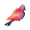Colorful pink bird silhouette watercolor illustration on white background.