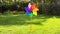 colorful pinwheel rotating outdoors in summer