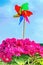 Colorful pinwheel on a wooden stick stuck in a flowerpot with pink flowers