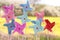 Colorful pinwheels on nature background