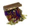 Colorful Pirate Treasure with Gold Coins