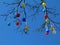 Colorful plastic eggs decorating a tree in spring for Easter