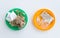 Colorful, plastic garbage plates. Plastic waste on one plate, and paper rubbish on another. Symbol of recycling, waste sorting and