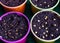 Colorful plastic pots for seedlings.Close-up