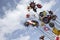 Colorful plastic weathervanes and blue sky