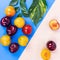 Colorful plum fruits on the colorful background