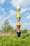 Colorful pole in a Dutch rural landscape