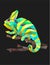 Colorful polygonal chameleon