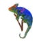 Colorful polygonal style design of wild reptile colorful chameleon