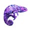 Colorful polygonal style design of wild reptile purple chameleon