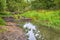 Colorful Pond with Snags And Fallen Trees in The Pripyat River and Dry Grass and Trees on Field of Polesye Natural Resort in