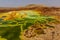 Colorful ponds in the volcanic landscape of Dallol, Danakil depression, Ethiop