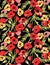 Colorful poppy pattern illustration background