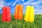 Colorful popsicles in grass