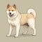 Colorful Portrait Illustration Of An Akita Dog With Distinct Markings