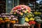 Colorful potted chrysanthemum on pavement of city street flower shop