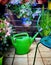 Colorful potted plants and a watering can