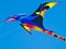 Colorful Pterodactyl Kite Flying