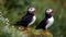 A colorful puffin perched on a branch, looking at the camera generated by AI