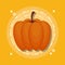 Colorful pumpkin autumn symbol