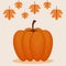 Colorful pumpkin autumn symbol