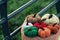 Colorful pumpkin ornament on outside table