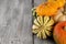 Colorful pumpkin pile of color autumn seasonal pumpkins on wooden gray background with copy space for text. Halloween or
