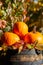 Colorful pumpkins and gourds on wine barrel with red maple tree in background