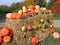 Colorful pumpkins on hay bale